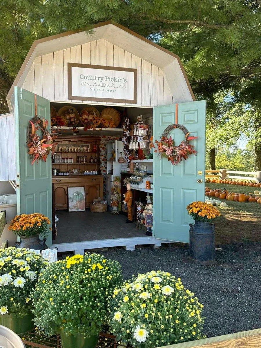 Country Pumpkins in Dry Ridge, KY