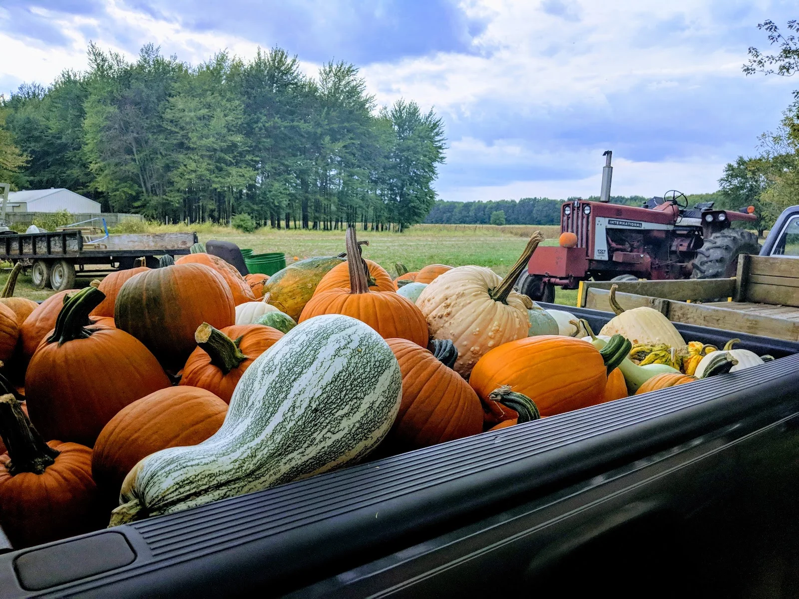 Hidden Acres Pumpkin Farm in Clarksville, OH