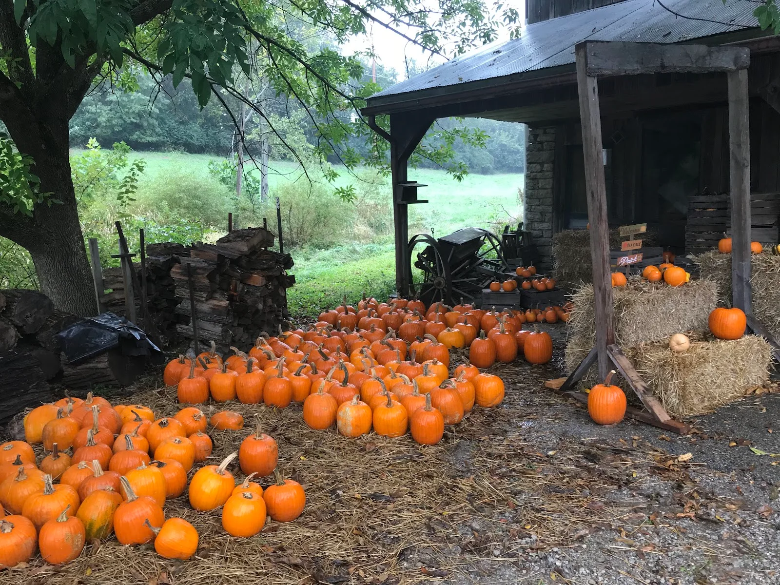 Hollmeyer Orchards in Cincinnati, OH