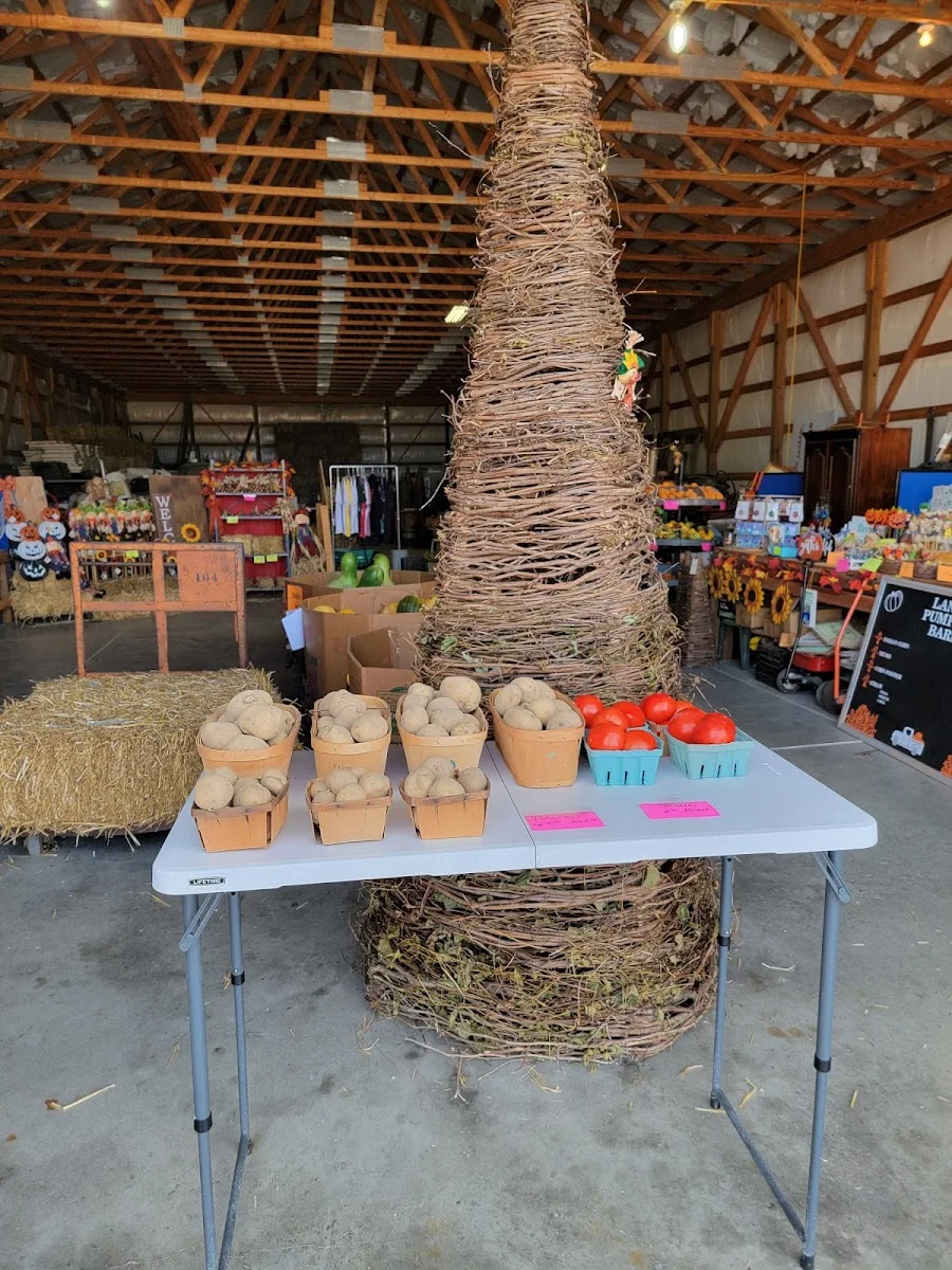 Lang's Pumpkin Barn in Georgetown, OH