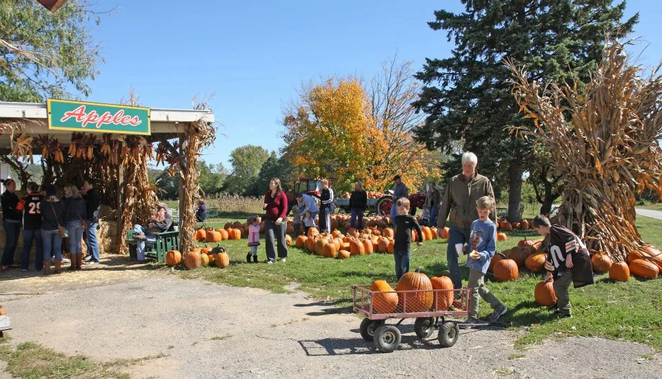 McGlasson Farms in Hebron, KY
