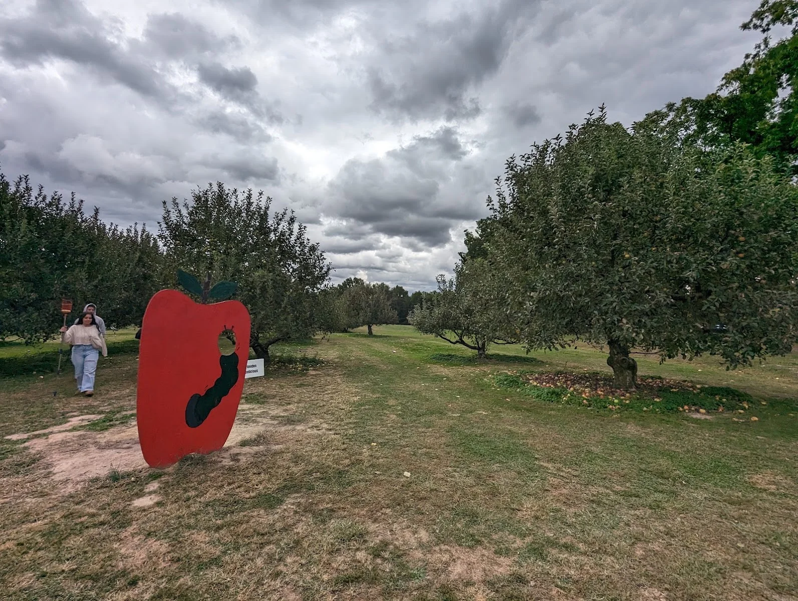 Pringle's Orchard in Goshen, OH