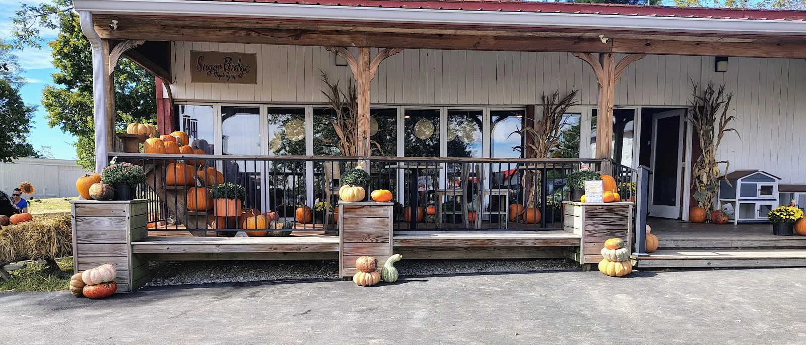 Sugar Ridge Family Farm in Walton, KY