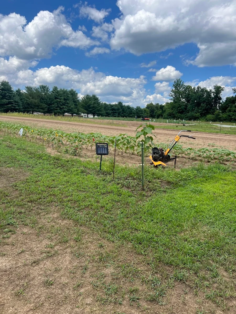 Vogel Farms in Melbourne, KY
