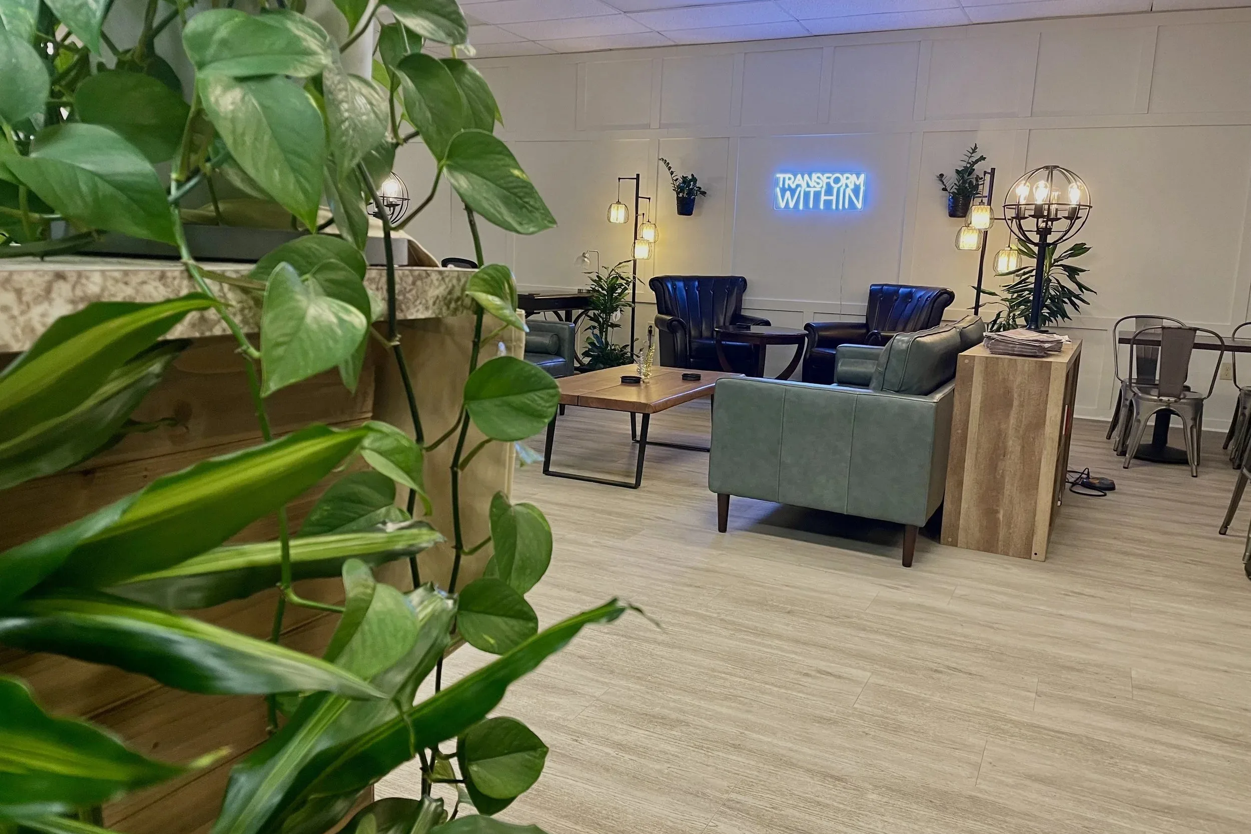 Cocoon Coffee in Greater Cincinnati